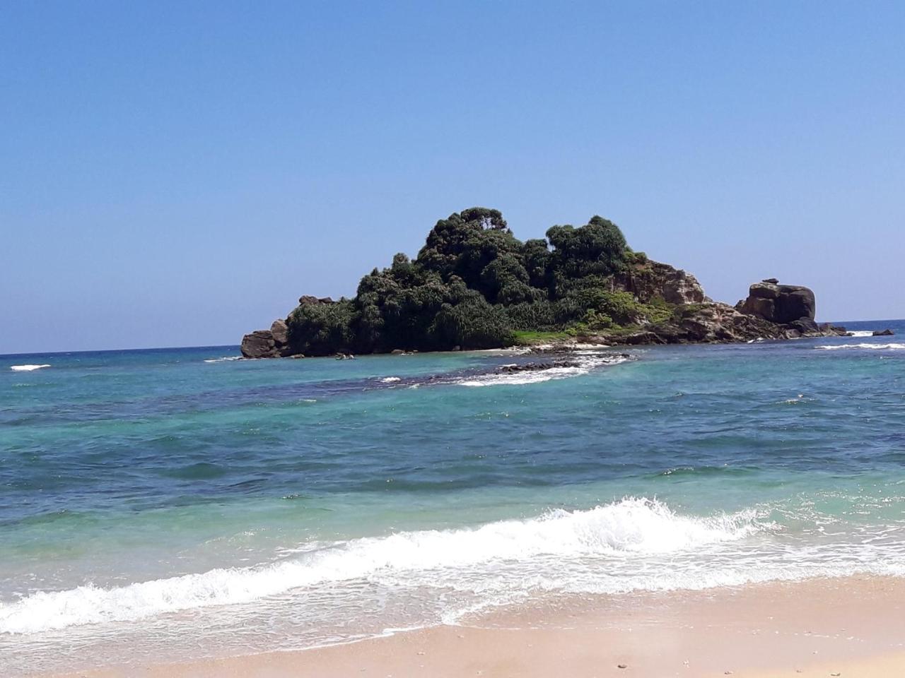 Southern Beach Surf Lodge Ahangama Eksteriør bilde